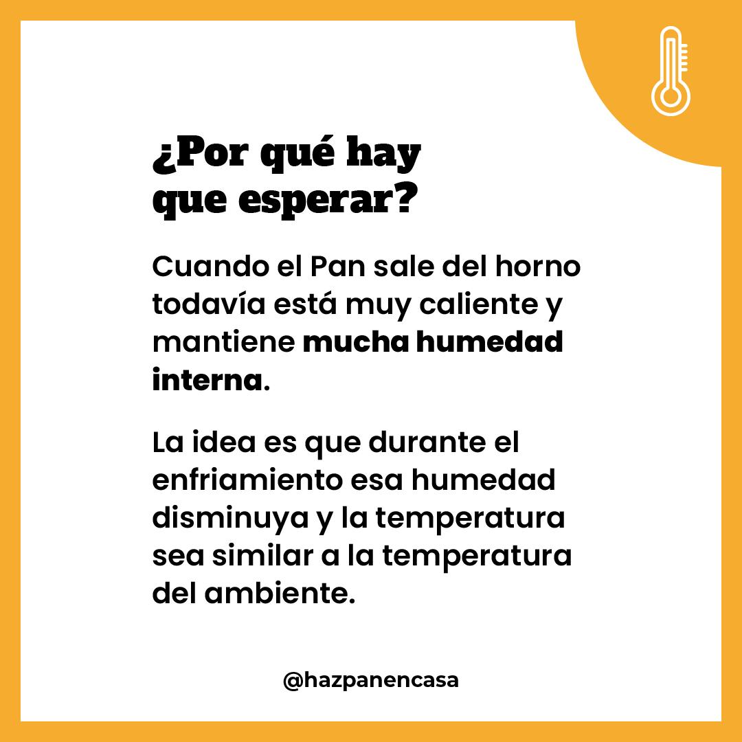 Paso 12 · ¿Por qué hay que esperar?