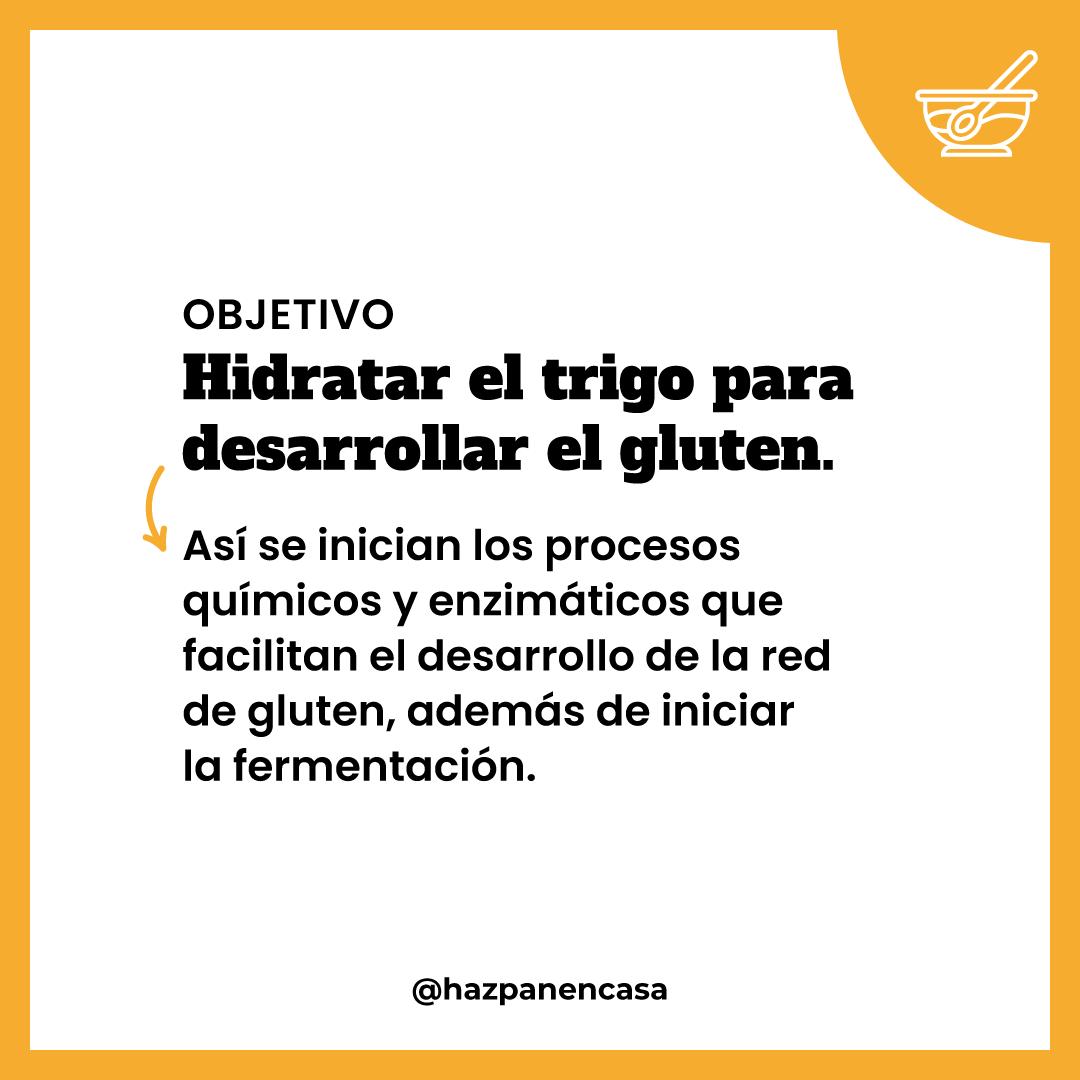 Paso 2 · Objetivo: hidratar el trigo