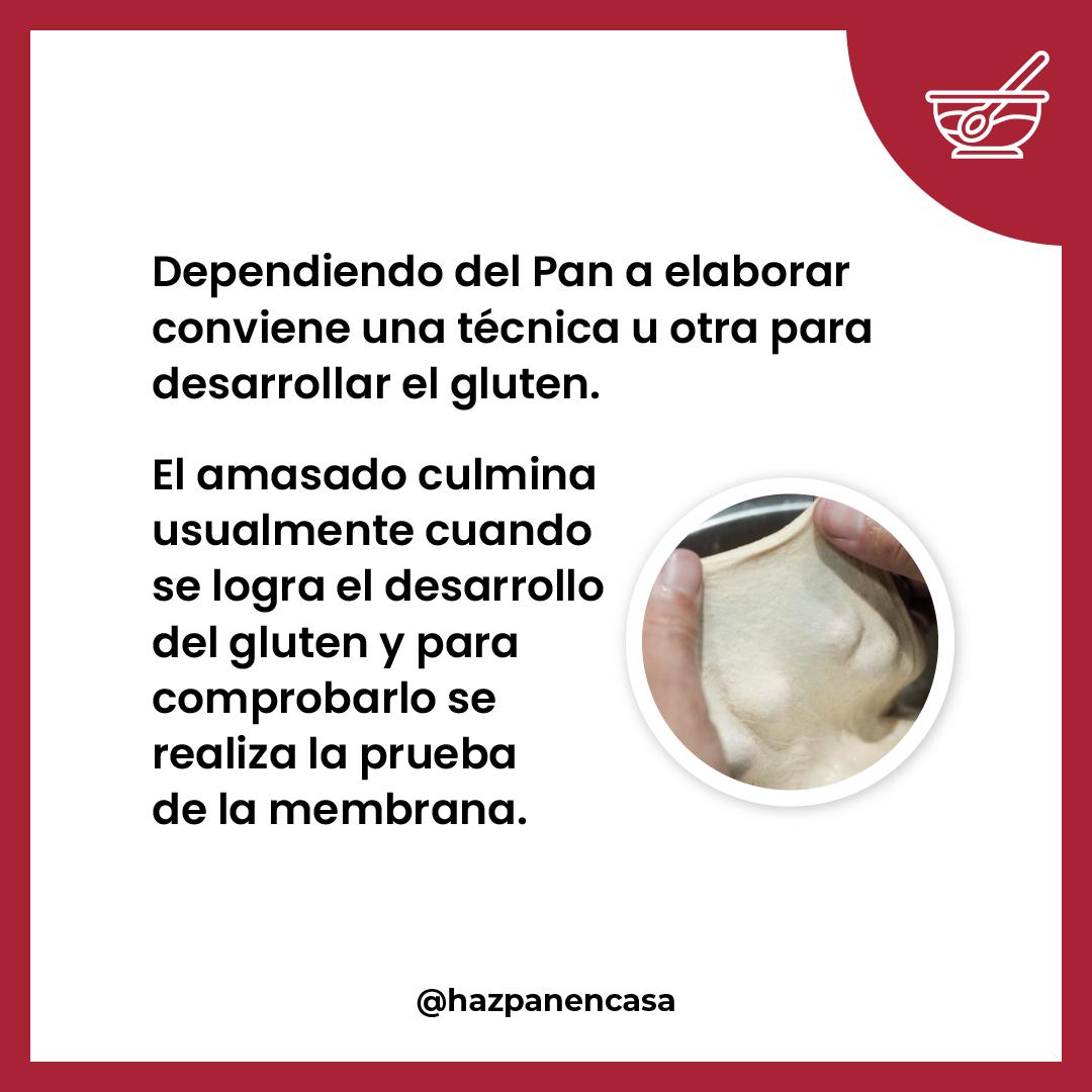 Paso 2 · La prueba de la membrana