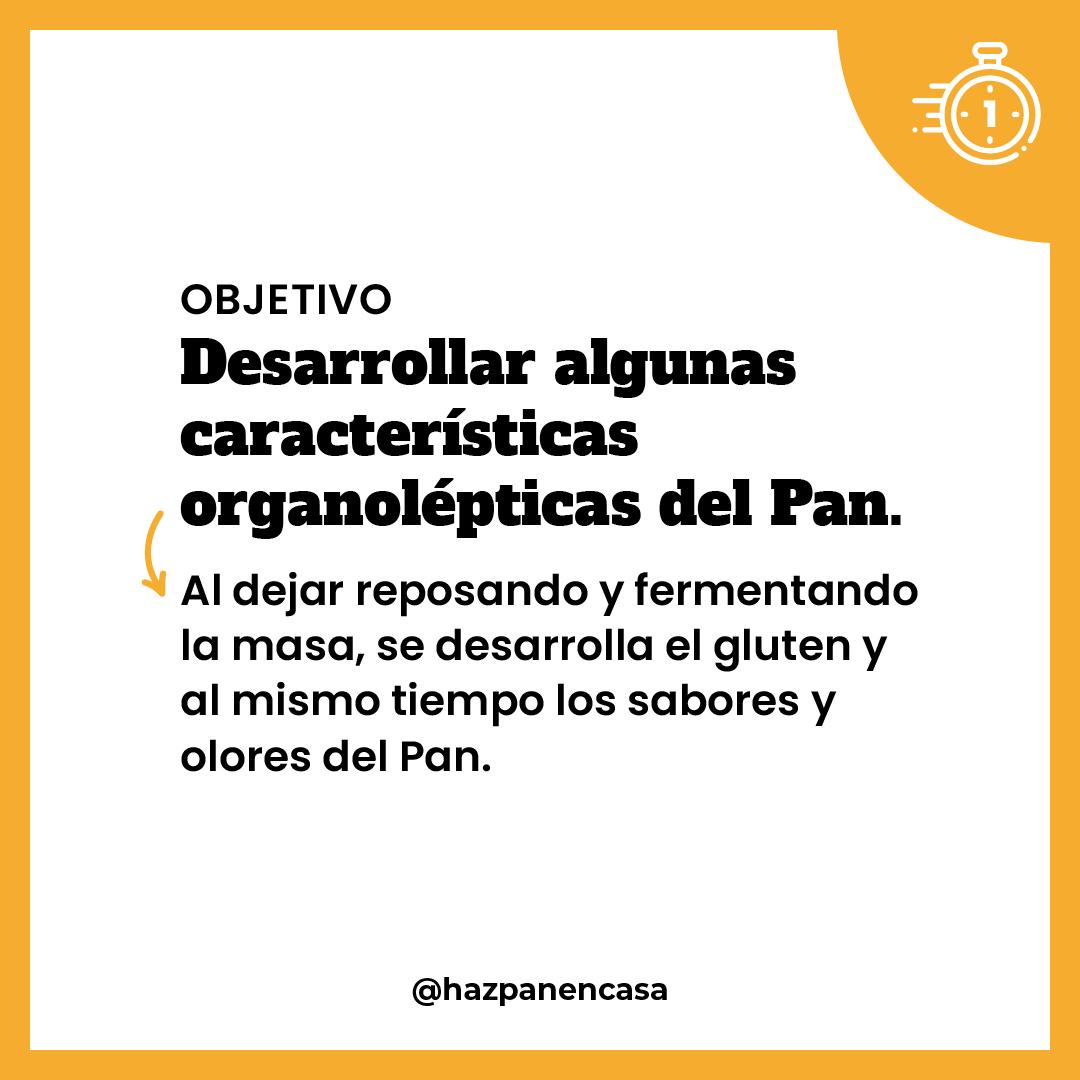 Paso 3 · Objetivo: características organolépticas