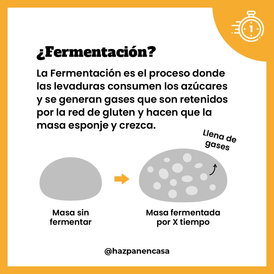 Paso 3 · ¿Qué es la fermentación?