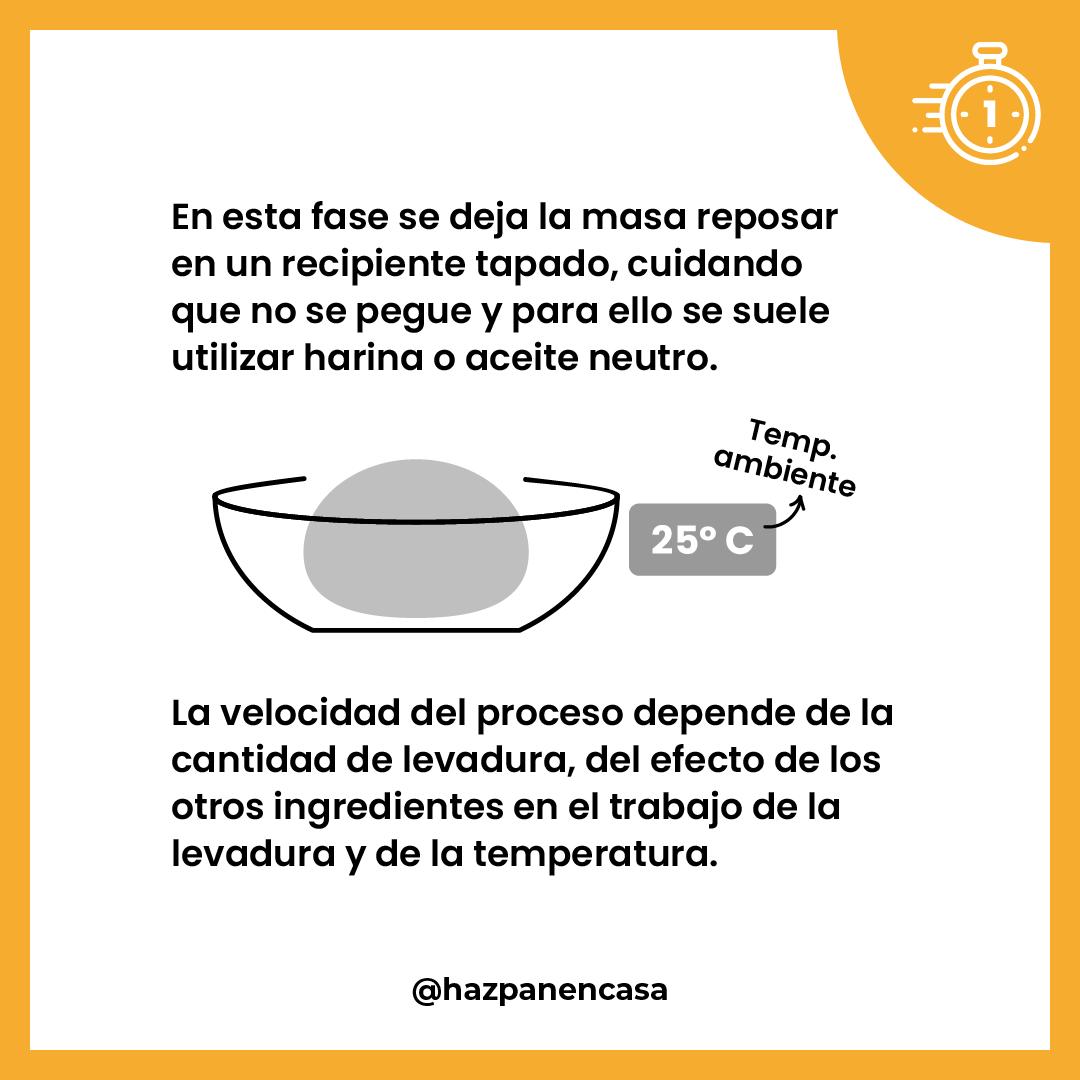 Paso 3 · Reposo en recipiente tapado a temperatura ambiente