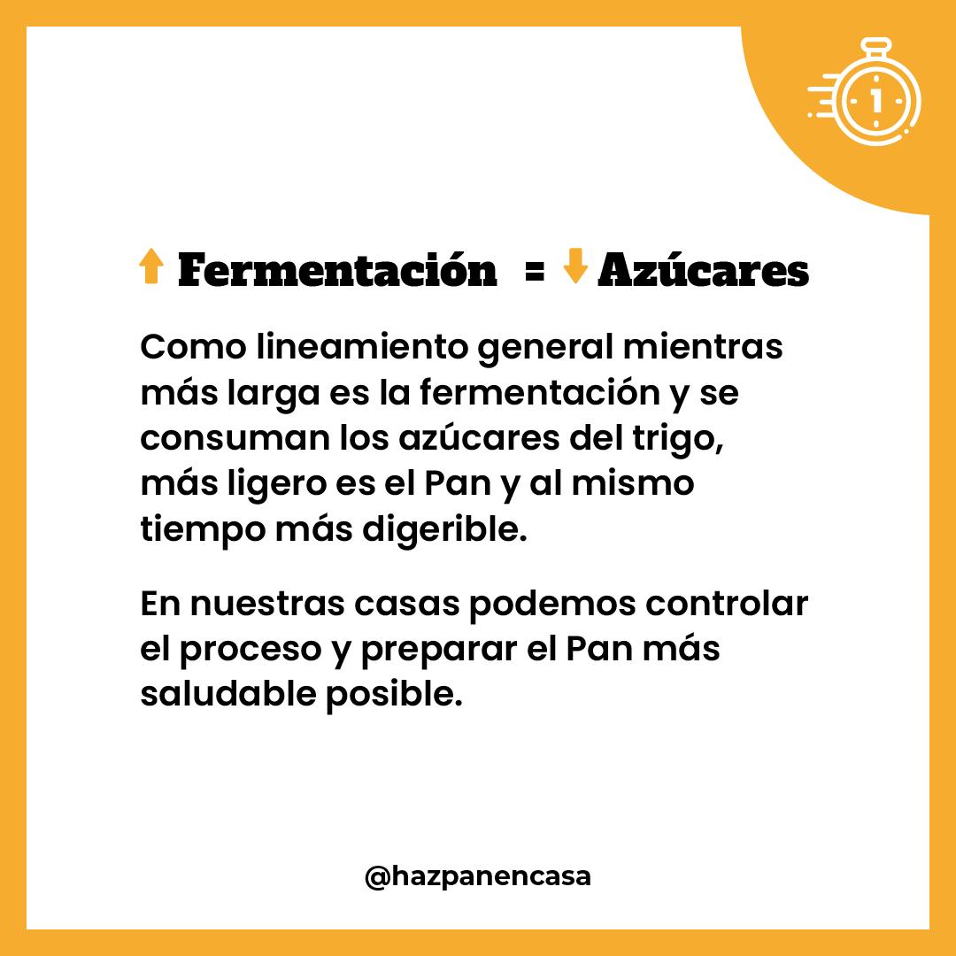 Paso 3 · La fermentación consume los azúcares del trigo