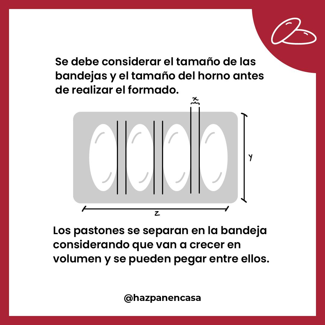Paso 8 · Considerar el tamaño de bandejas y horno