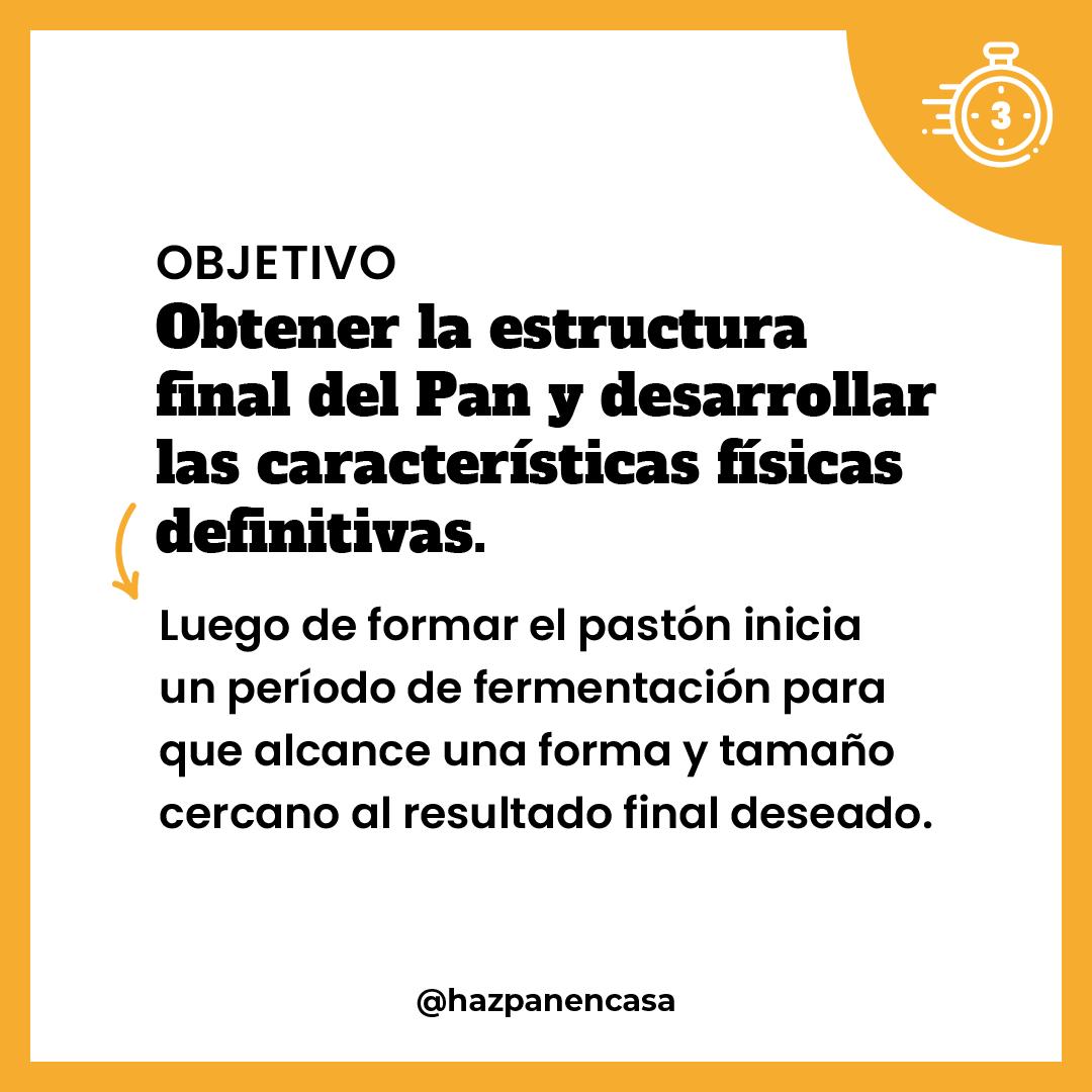 Paso 9 · Objetivo: maduración del pastón