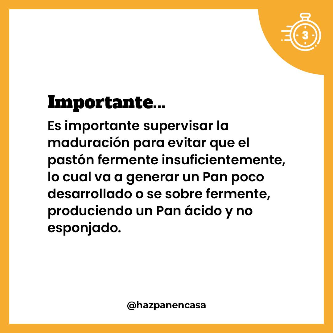 Paso 9 · Importante: supervisar la fermentación